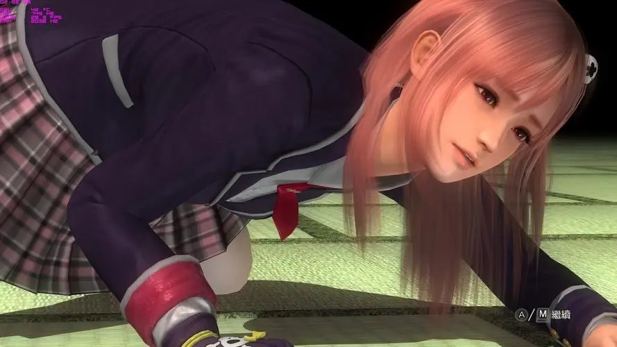 死或生5：最后一战/DEAD OR ALIVE 5 Last Round-单机游戏库